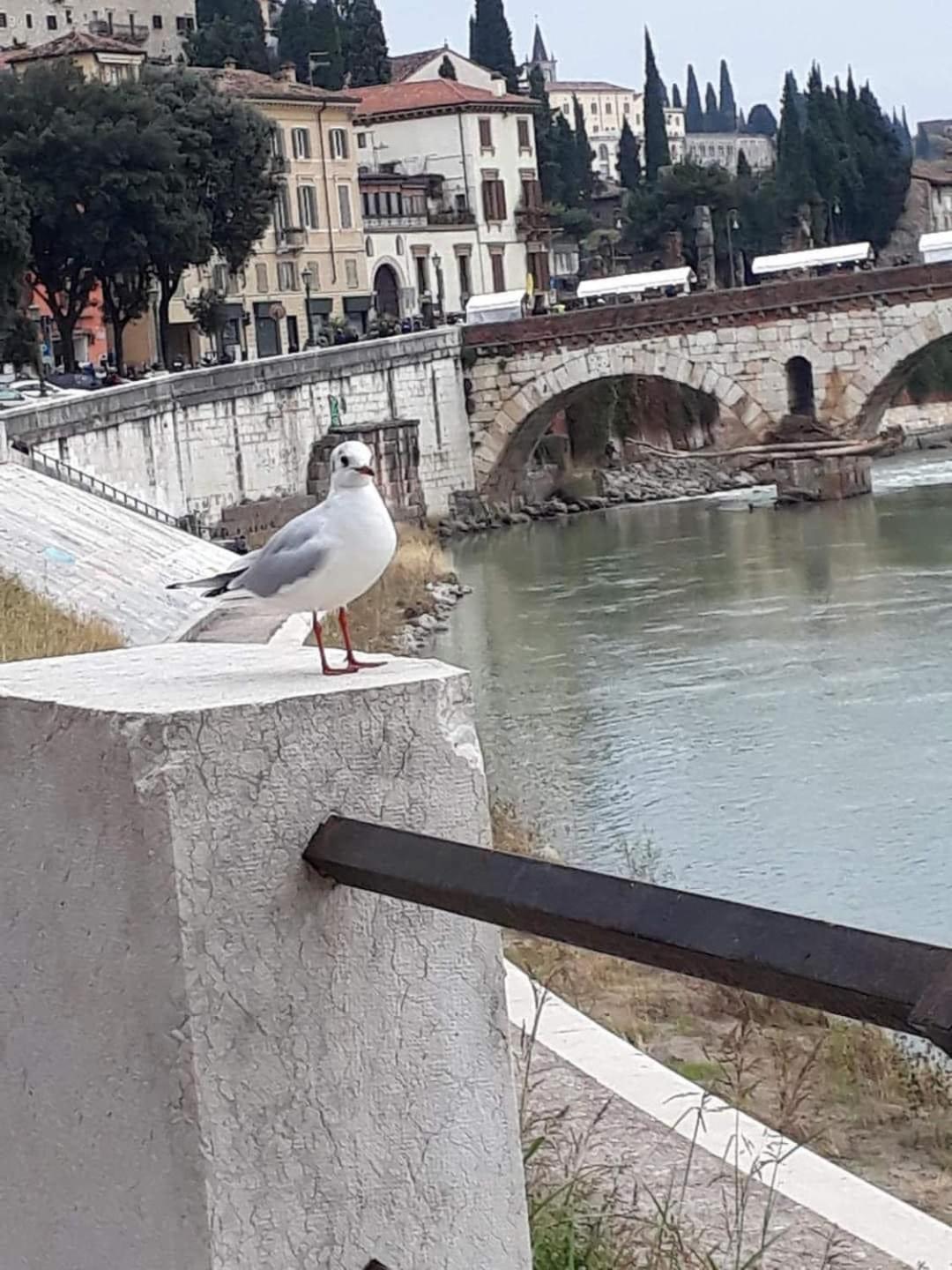 Casa Vacanza Elena Verona Buitenkant foto